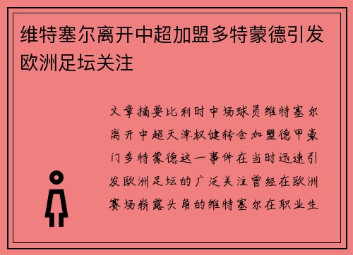 维特塞尔离开中超加盟多特蒙德引发欧洲足坛关注